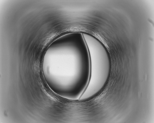 X0000094450530200711081049