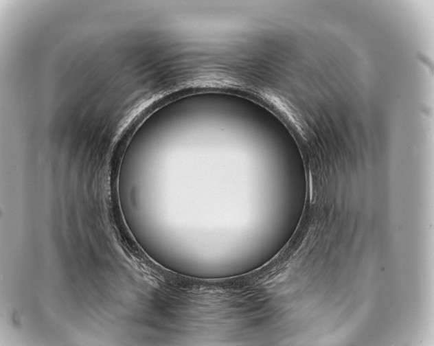 X0000094450531200711081049