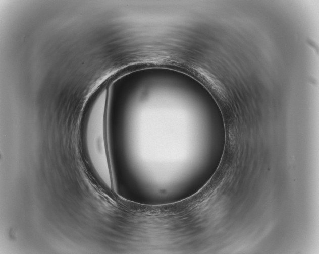 X0000094450532200711081050
