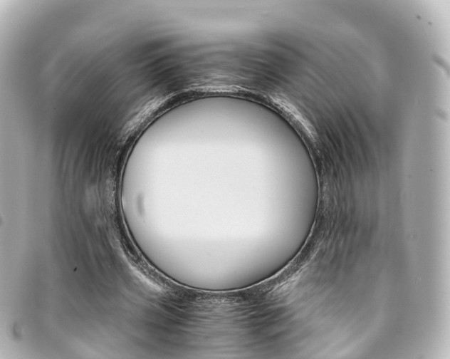 X0000094450533200711081050