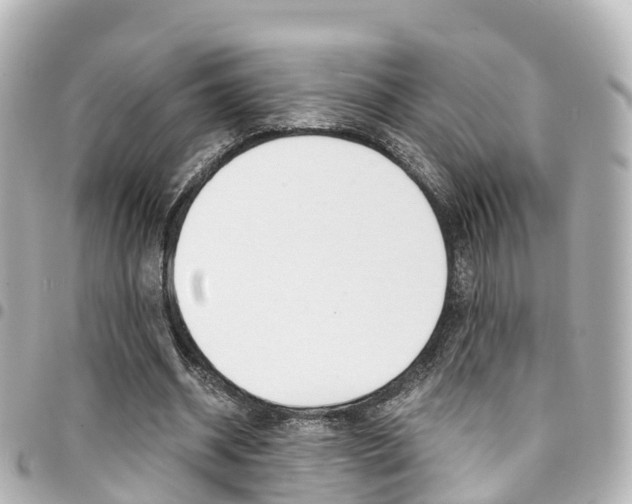 X0000094450534200711081050