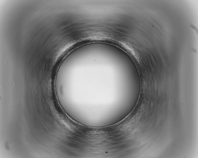 X0000094450535200711081050