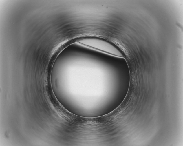 X0000094450536200711081050