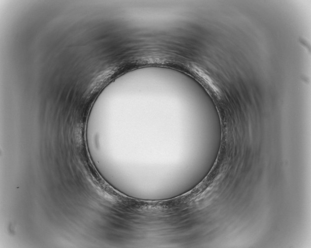 X0000094450537200711081050