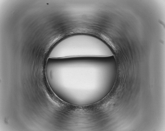 X0000094450538200711081050