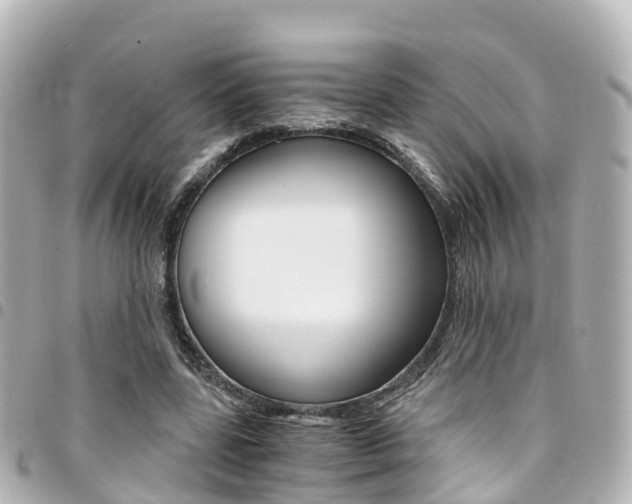 X0000094450539200711081050