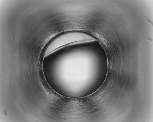 X0000094450540200711081050