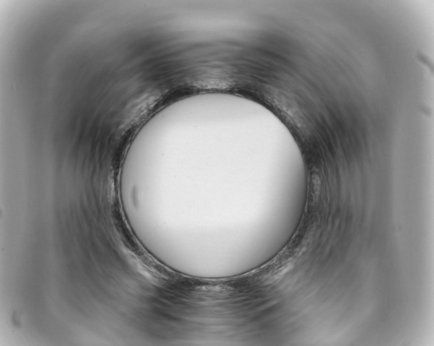 X0000094450541200711081050