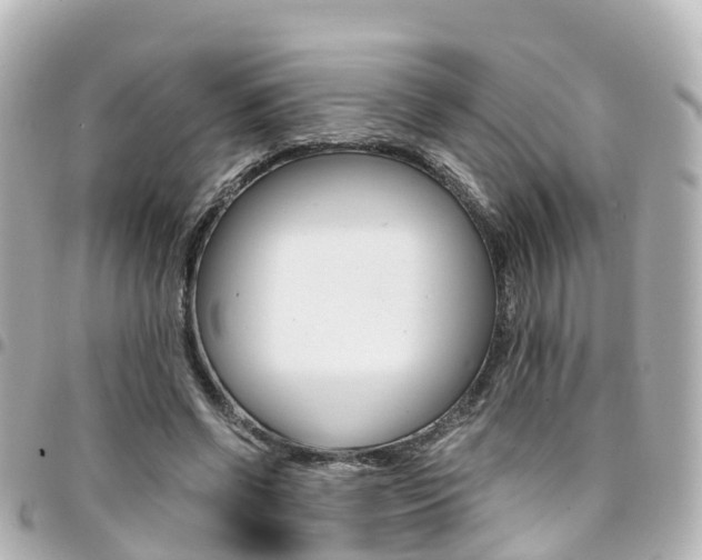 X0000094450542200711081050
