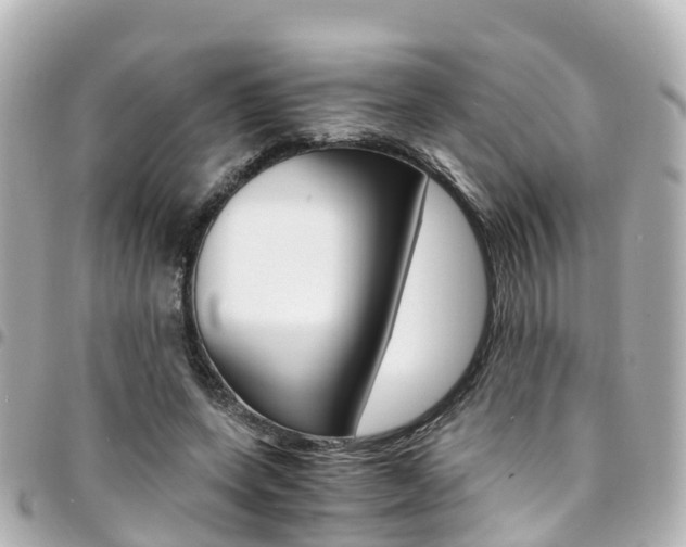 X0000094450543200711081050