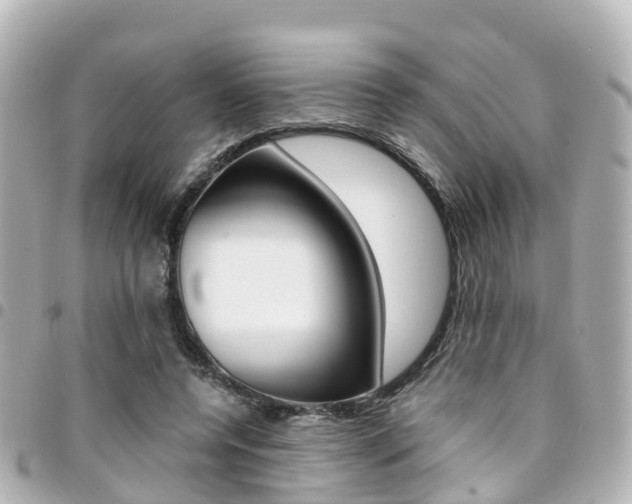 X0000094450544200711081050
