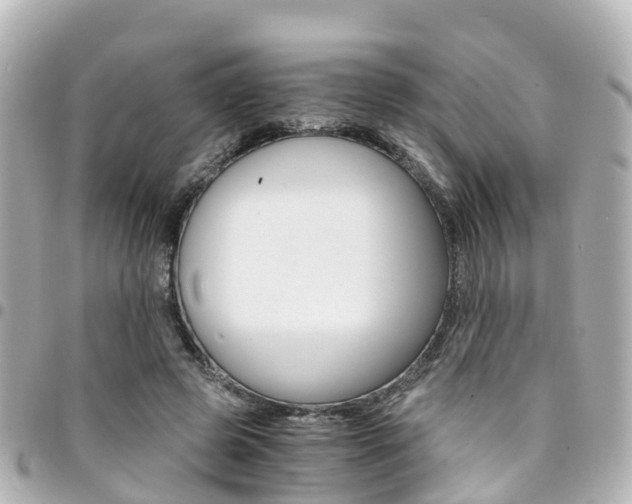 X0000094450545200711081050
