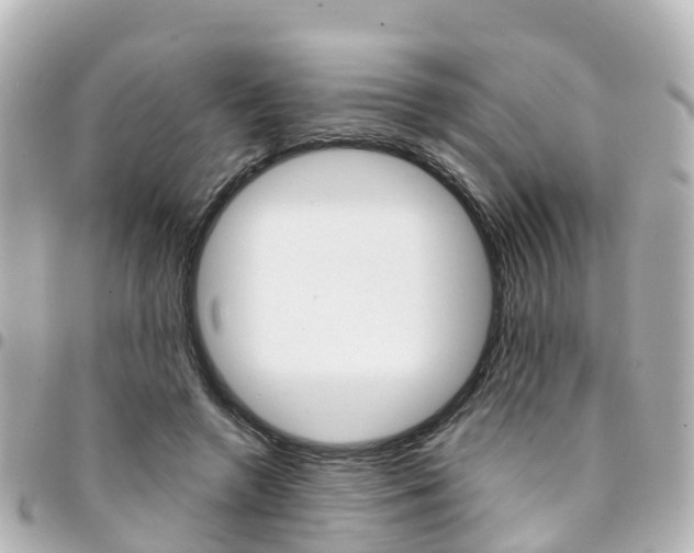 X0000094450546200711081050