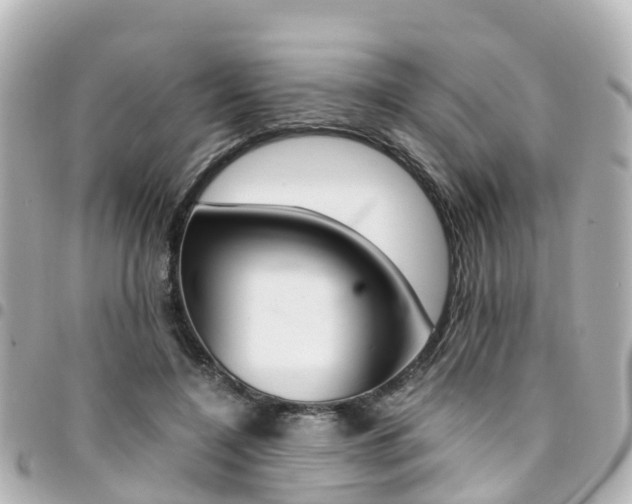 X0000094450548200711081050