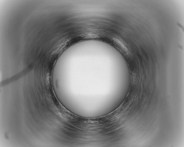 X0000094450549200711081050