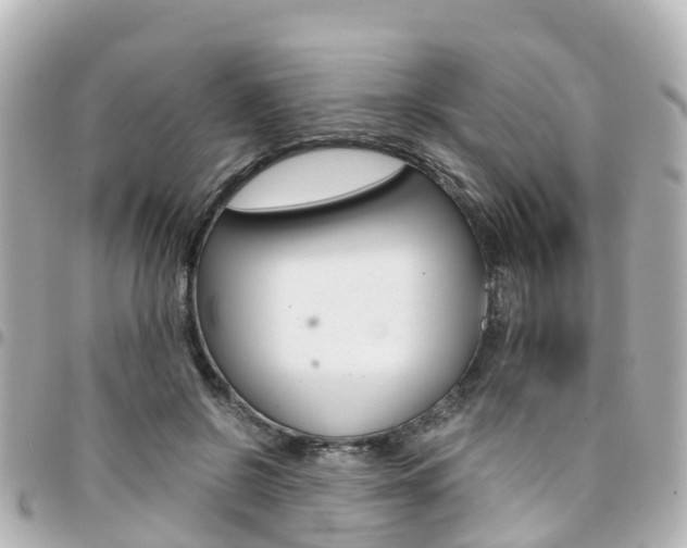 X0000094450550200711081050
