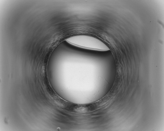 X0000094450551200711081050