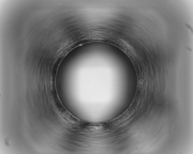X0000094450552200711081050