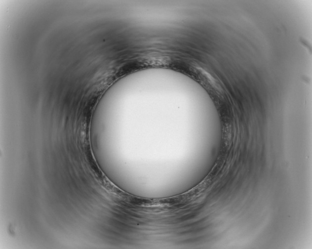 X0000094450553200711081050