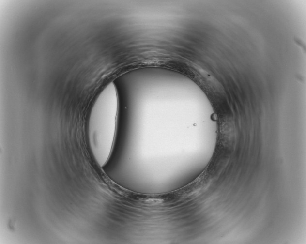 X0000094450554200711081050