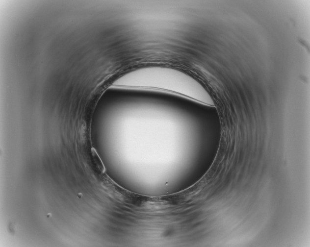 X0000094450556200711081050