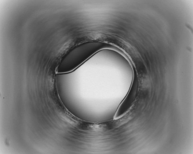 X0000094450558200711081050