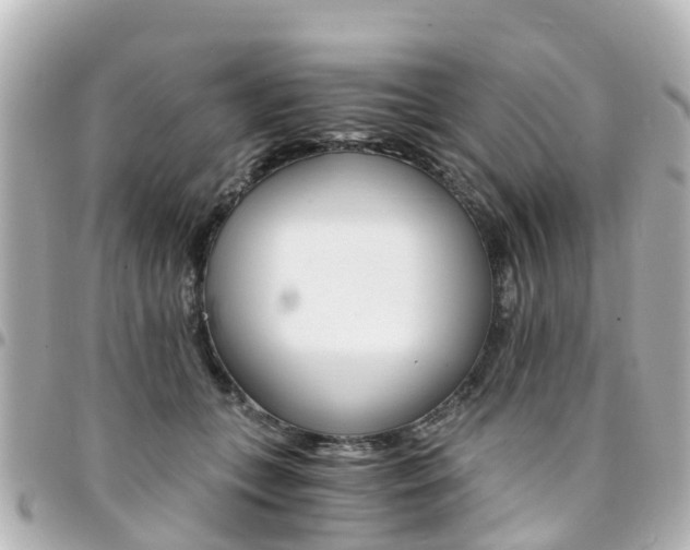 X0000094450559200711081050