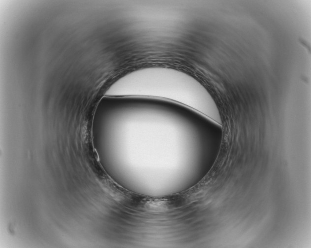 X0000094450560200711081050