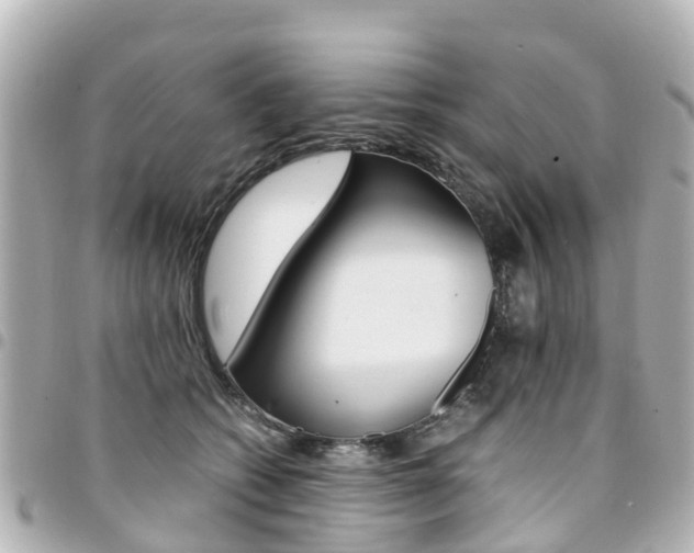 X0000094450562200711081050