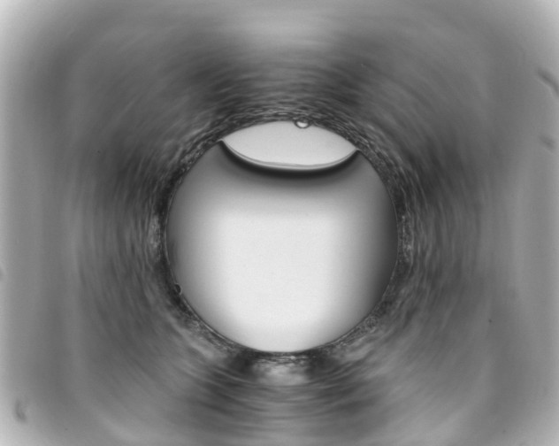 X0000094450563200711081050