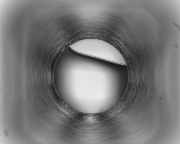 X0000094450564200711081050