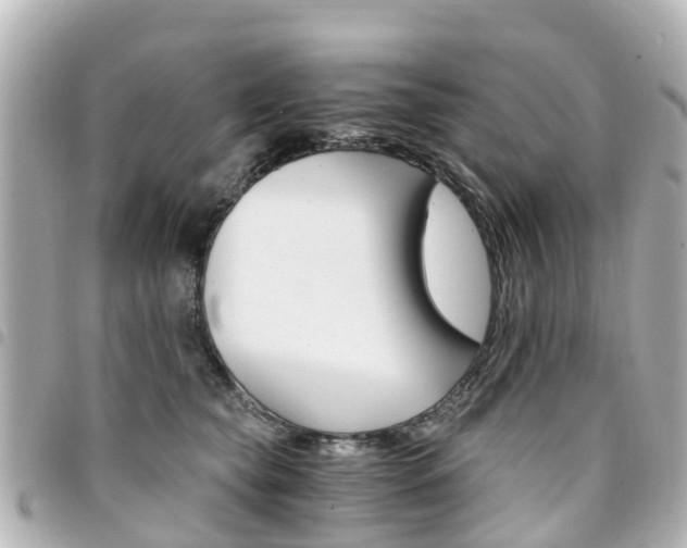 X0000094450565200711081050