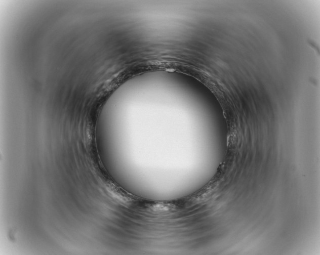 X0000094450566200711081050