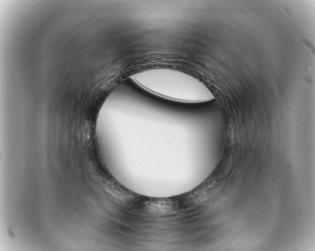 X0000094450567200711081050