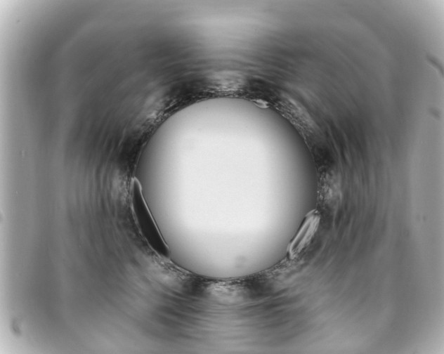 X0000094450568200711081050