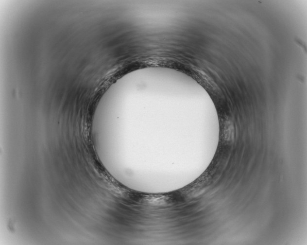 X0000094450569200711081050