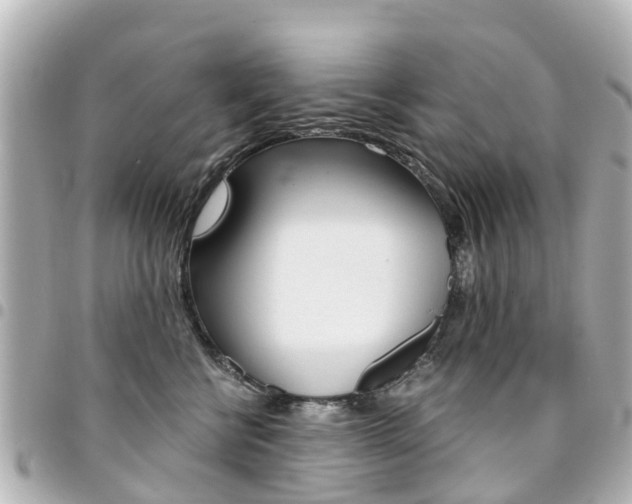 X0000094450570200711081050