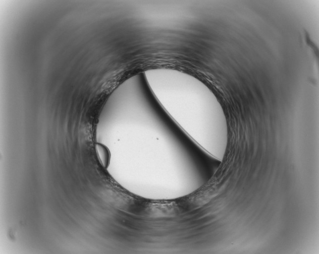 X0000094450571200711081050