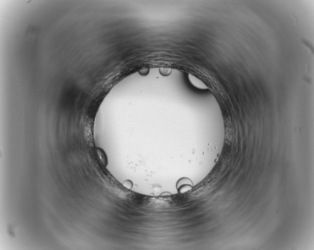 X0000094450573200711081050