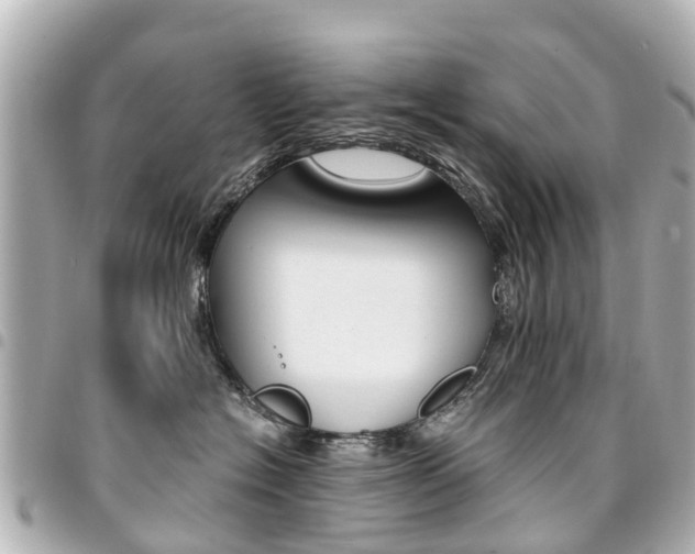 X0000094450574200711081050