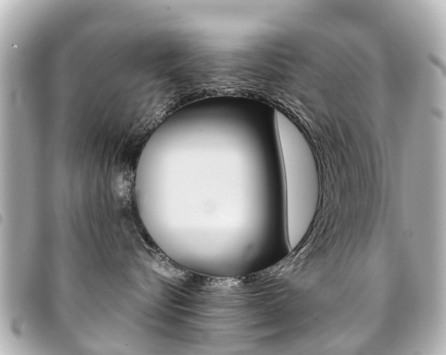 X0000094450576200711081050