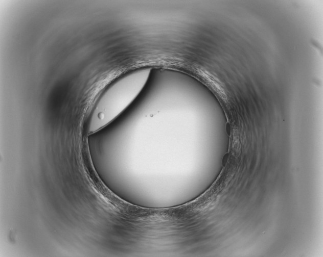 X0000094450578200711081049