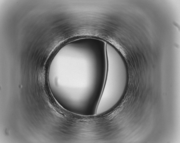 X0000094450580200711081049
