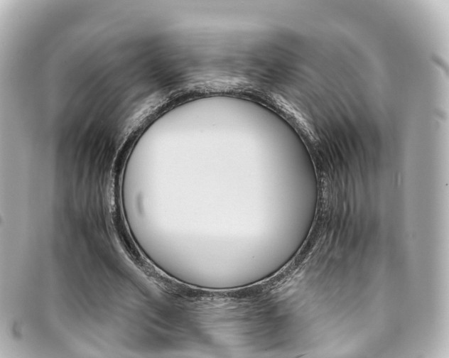 X0000094450582200711081049