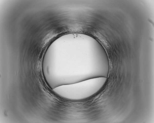 X0000094450583200711081049