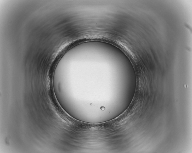 X0000094450584200711081049