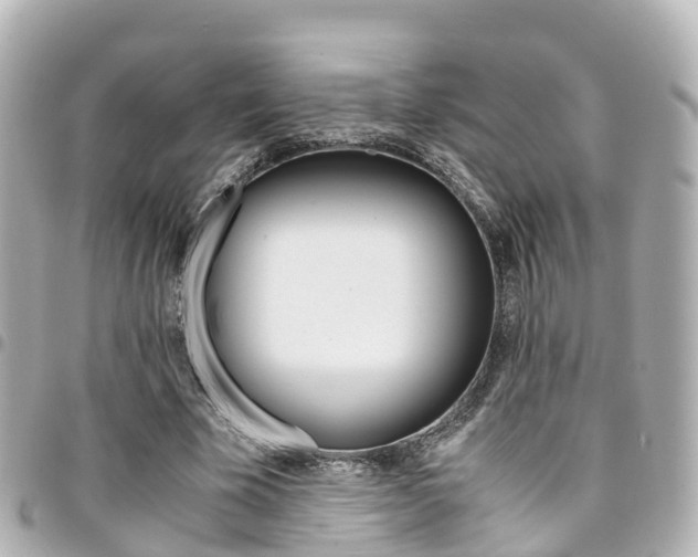 X0000094450585200711081049