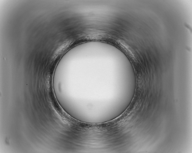 X0000094450586200711081049