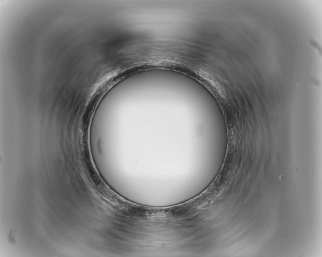 X0000094450587200711081049