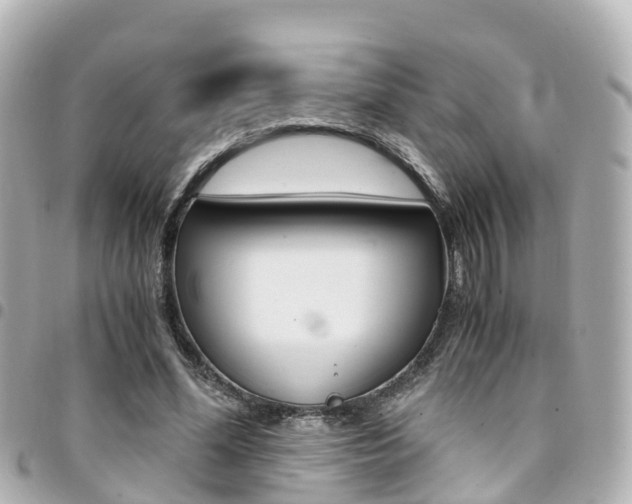 X0000094450588200711081049
